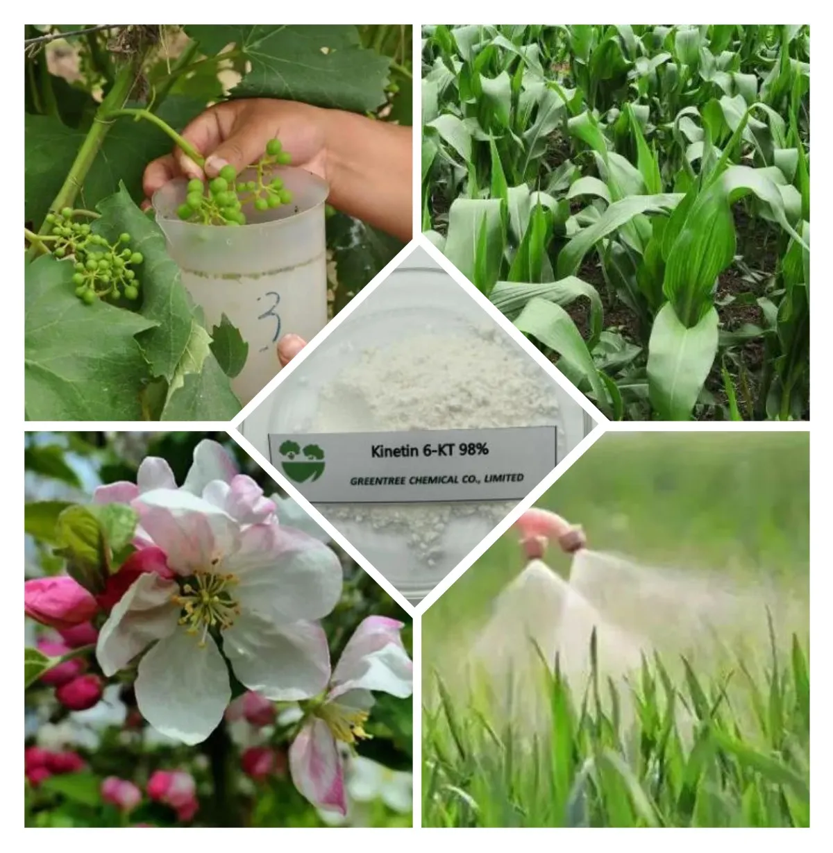 leaf blossom spray dipping leaf blossom spray dipping