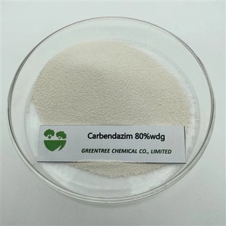 Carbendazim 80 % Wdg zur Pilzbekämpfung und Pflanzengesundheit