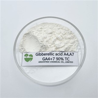 Professionelle Herstellung von Pflanzenwachstumsregulatoren Gibberellin 90 Prozent Tc Ga4 plus 7