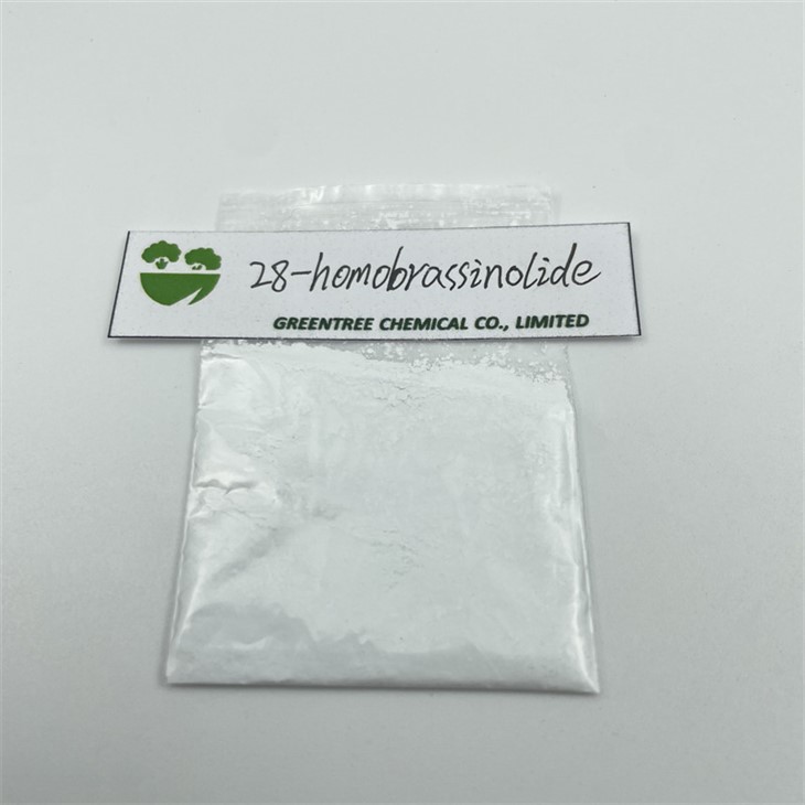 28-HomoBrassinolide Brassinolide 90% Tc Powder Promote Fruit Growth