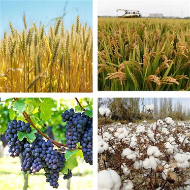 GA4+7 Application GA4+7 Application